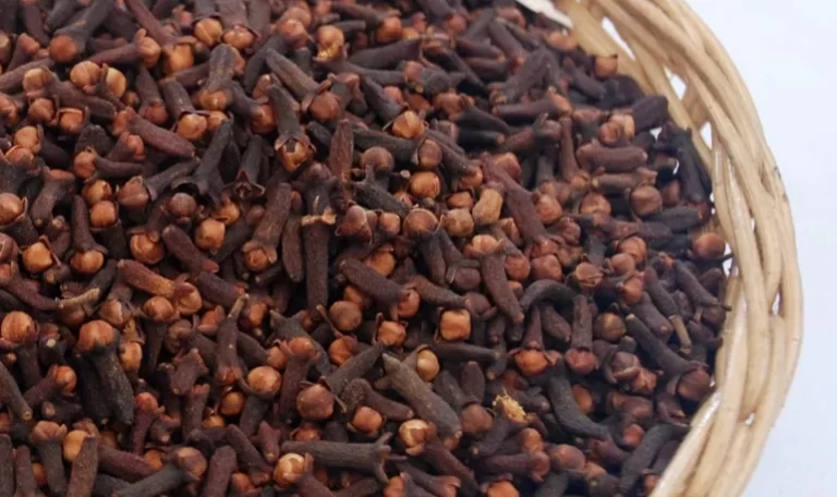 Whole Clove Buds