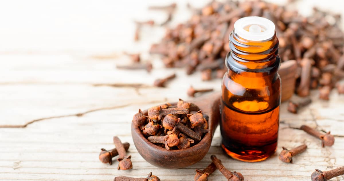 Clove Essential Oil