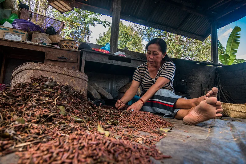 Clove Sorting and Grading