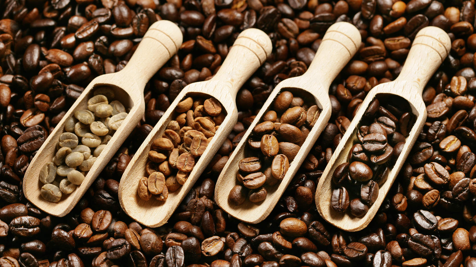 Coffee Quality Testing