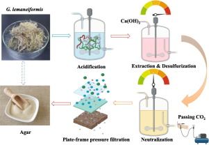 Carrageenan Extraction Facility