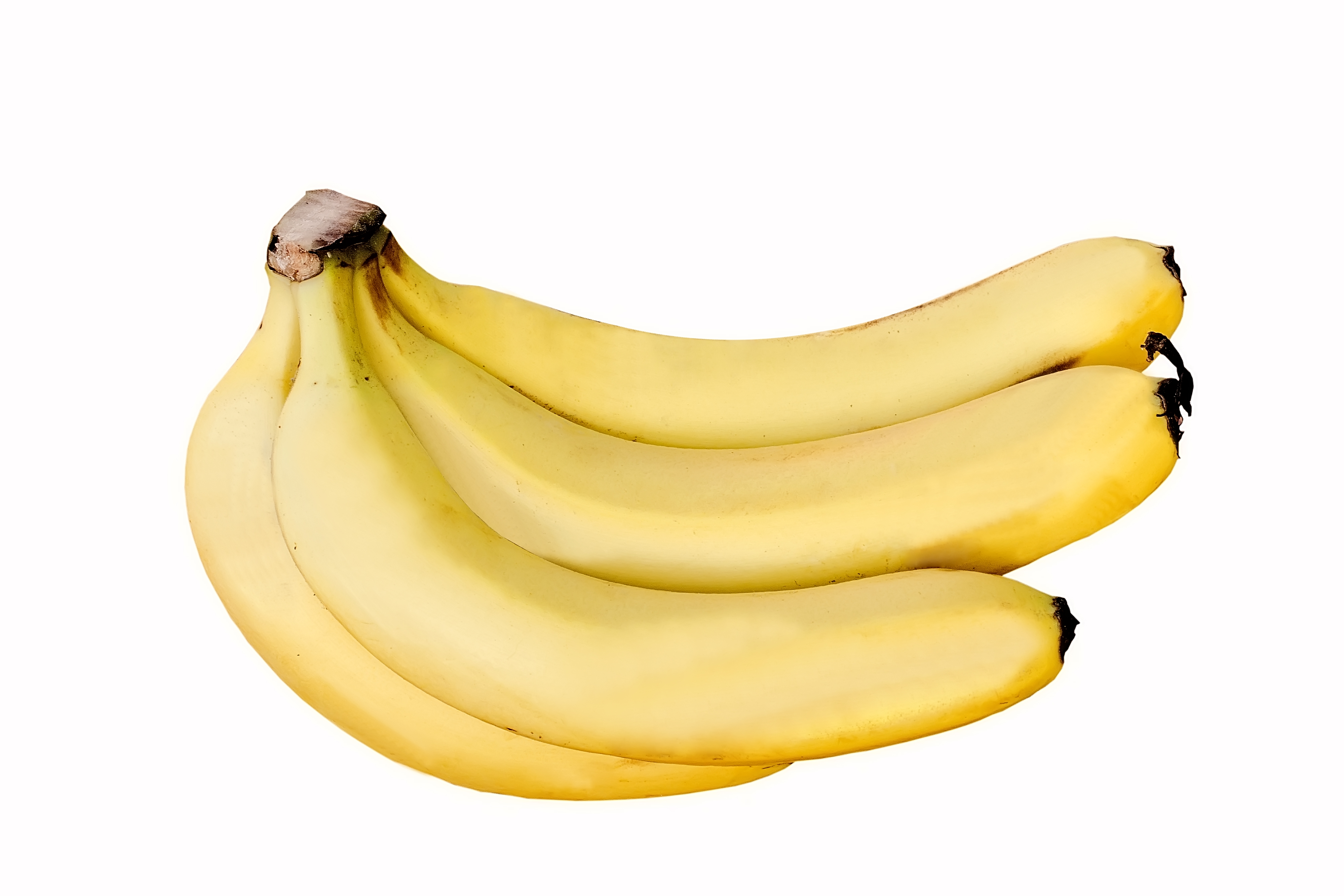 Fresh Cavendish Bananas