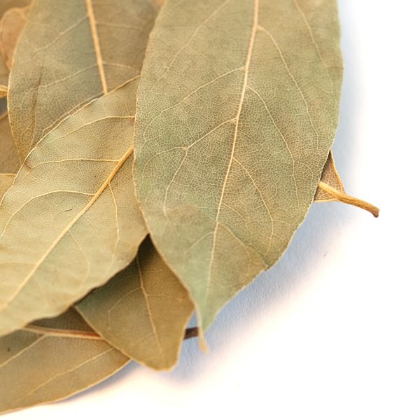 Bay Leaf Powder