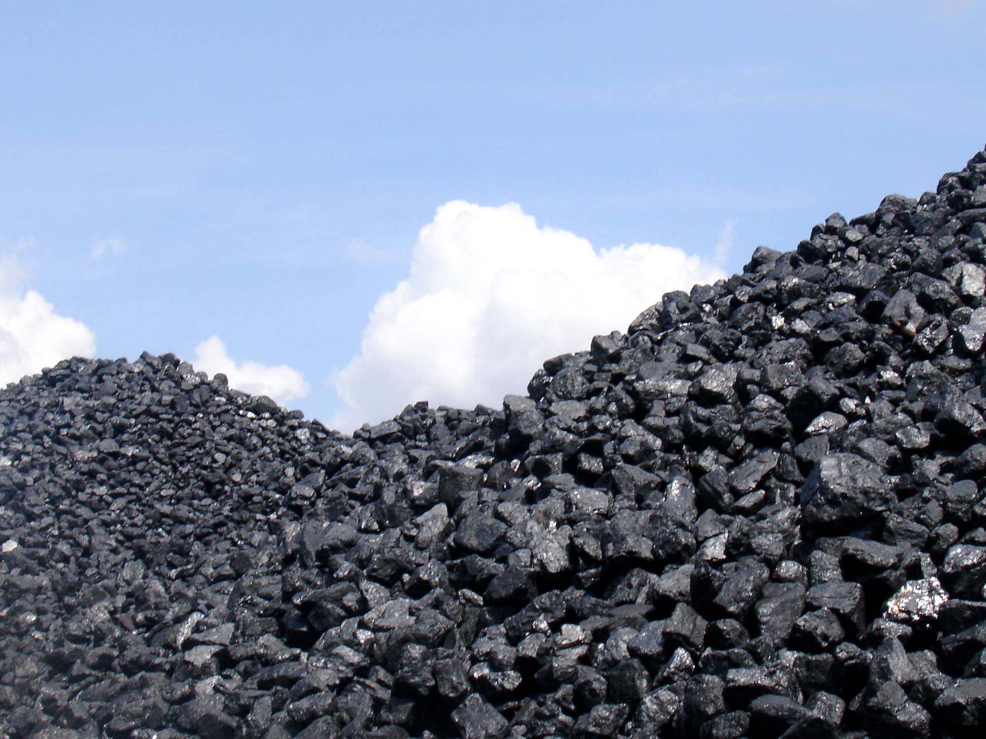 Steam Coal