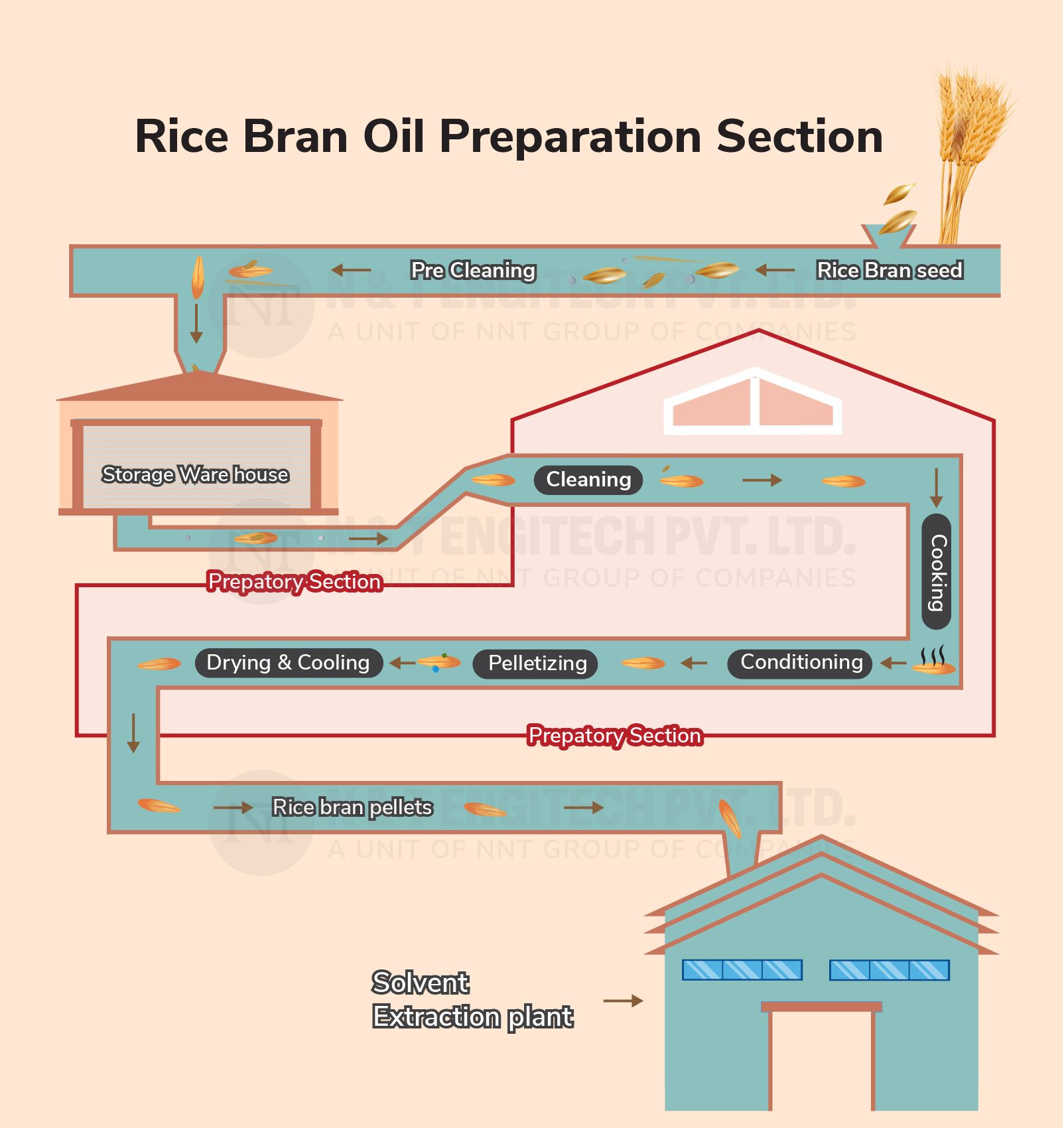Bran Processing