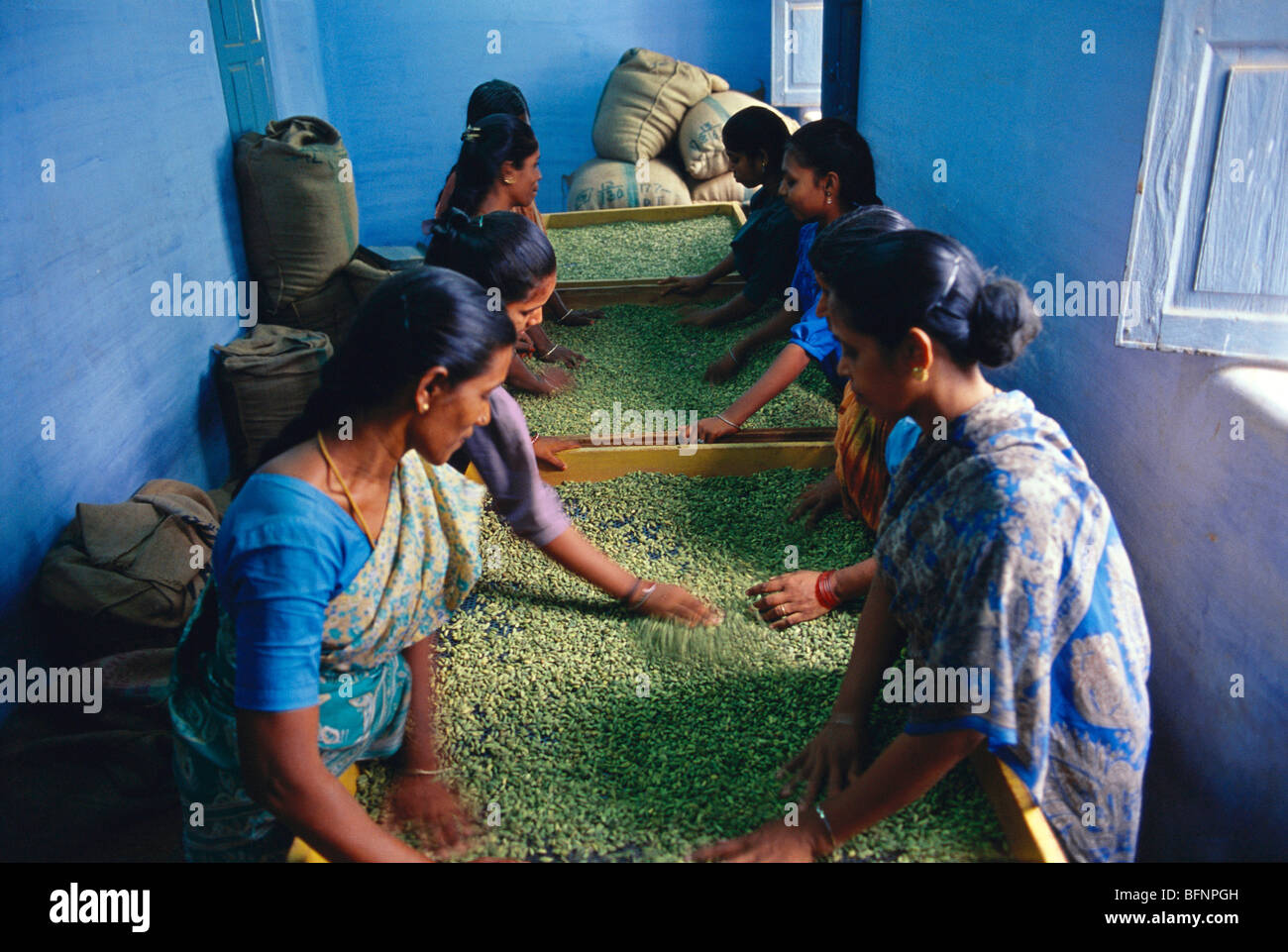 Cardamom Sorting