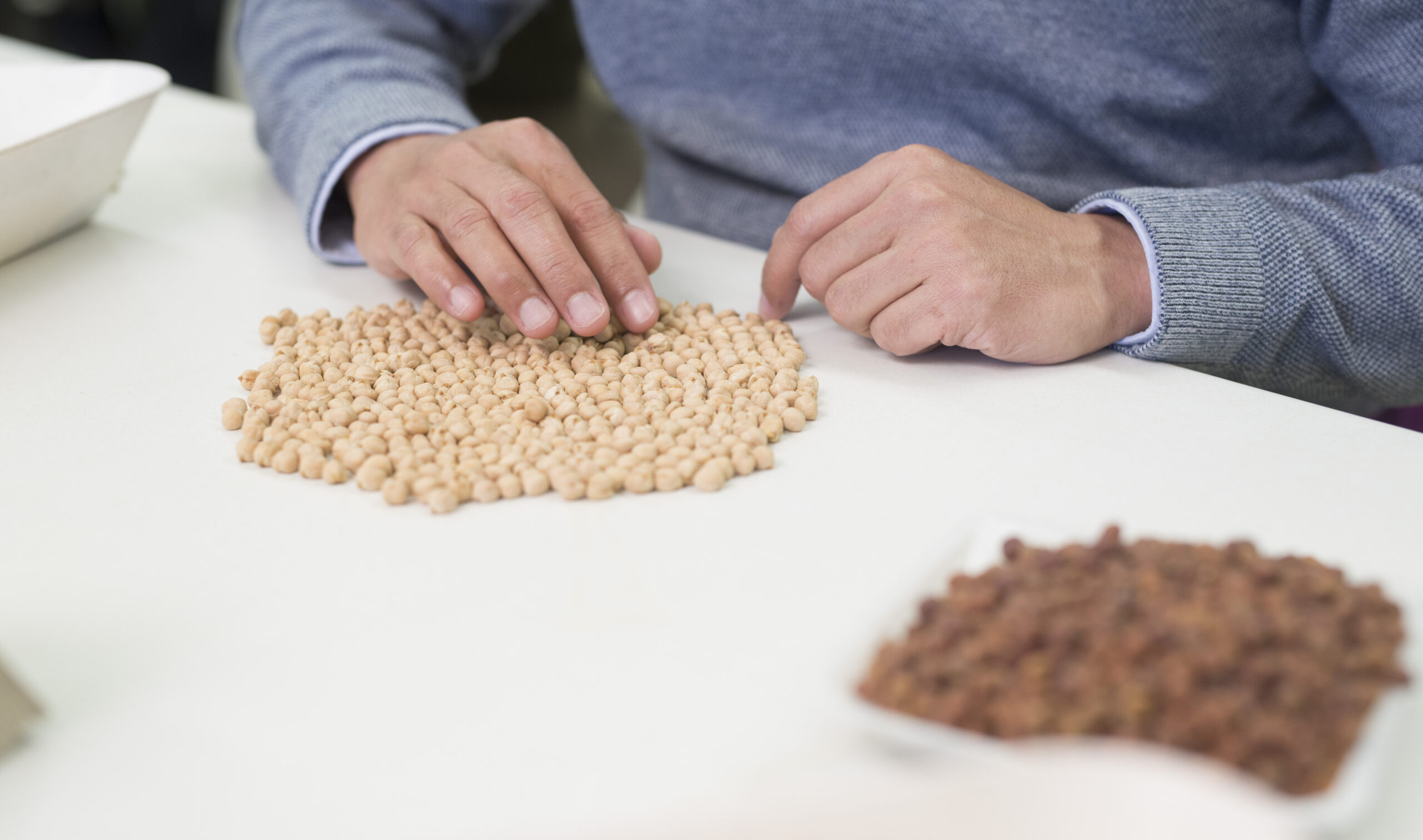 Chickpea Lab Testing