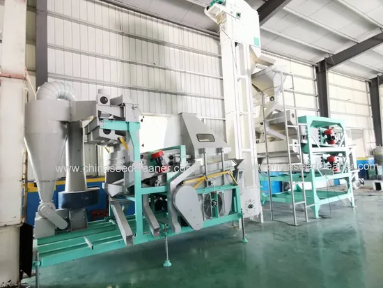 Chickpea Sorting
