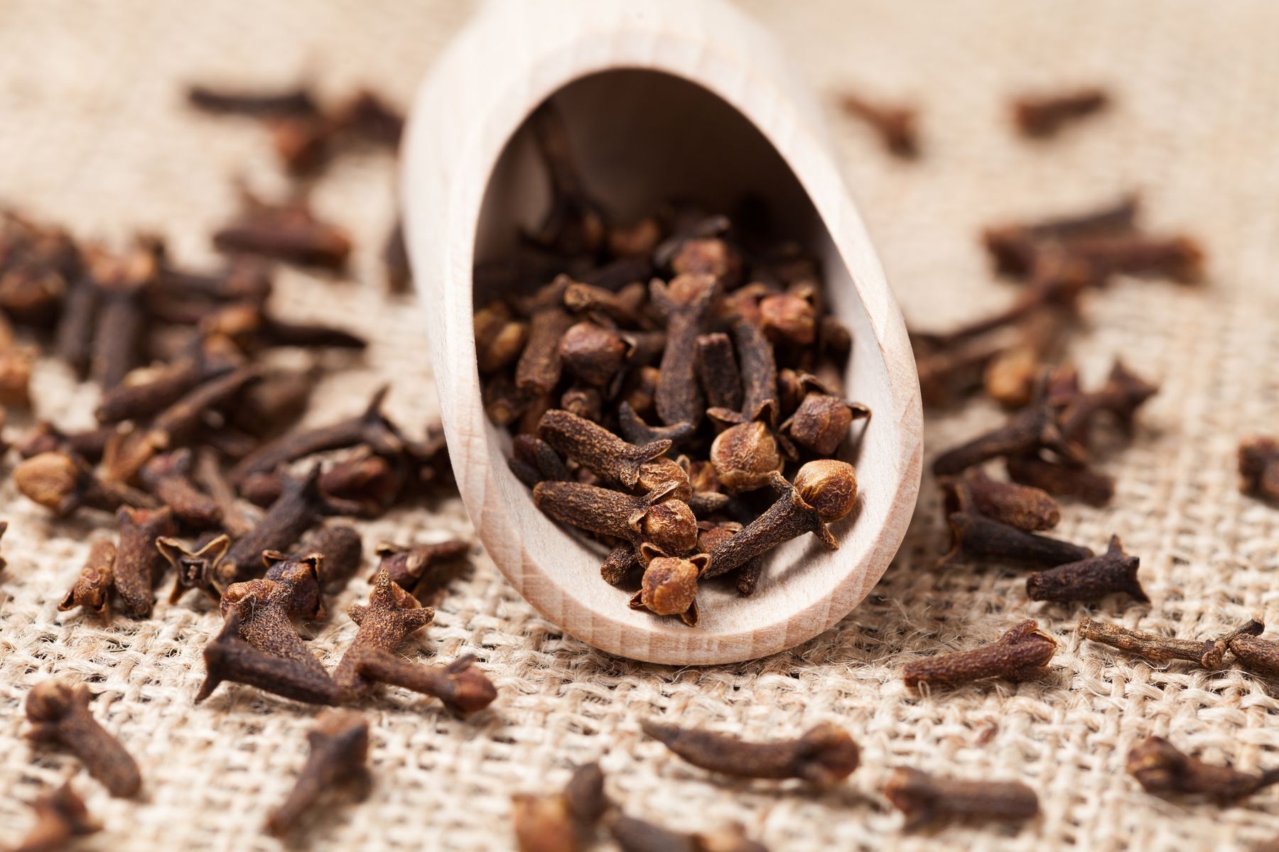 Clove Quality Testing