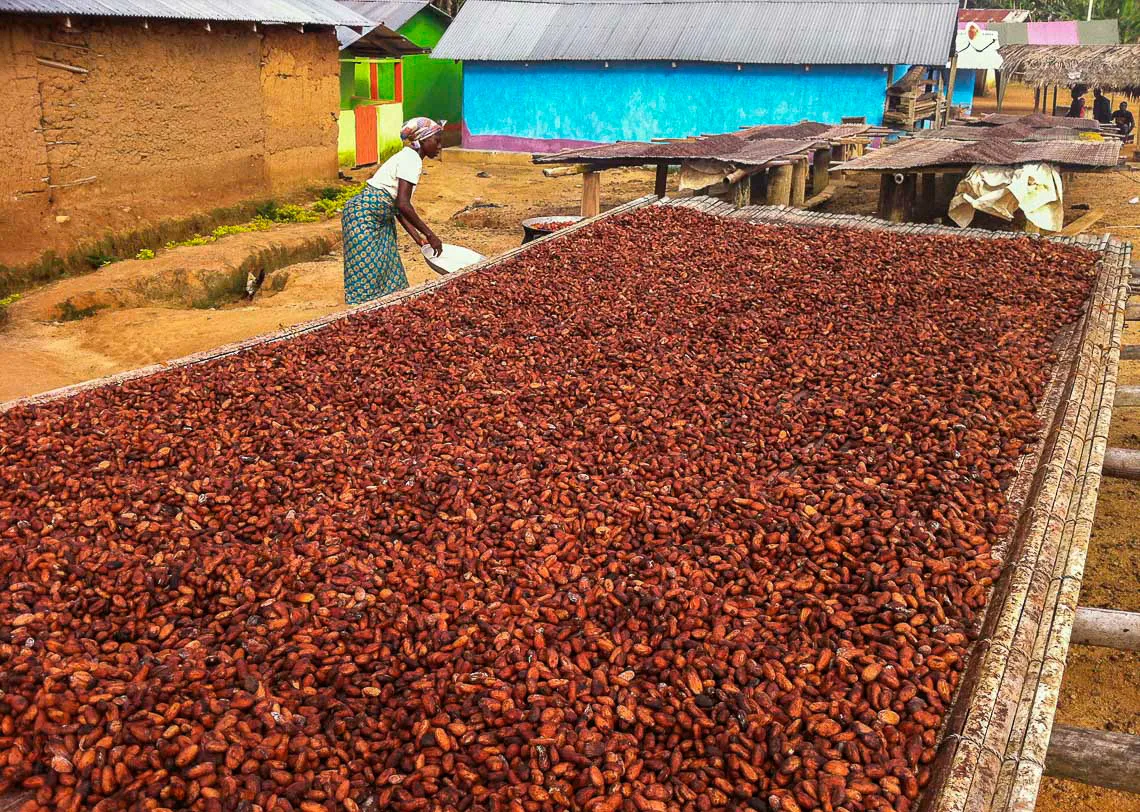Sun Dried Cocoa Beans