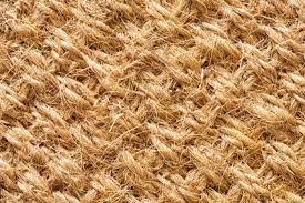Coconut Coir