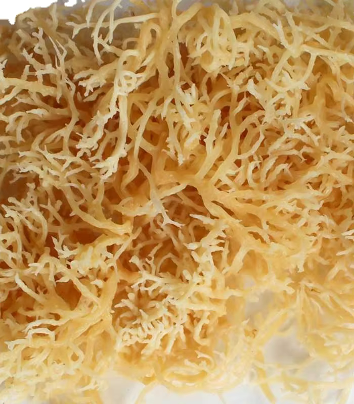 Dried Eucheuma Cottonii Seaweed (Similar)