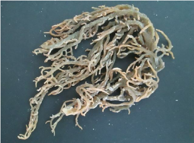 Dried Kappaphycus Alvarezii Seaweed