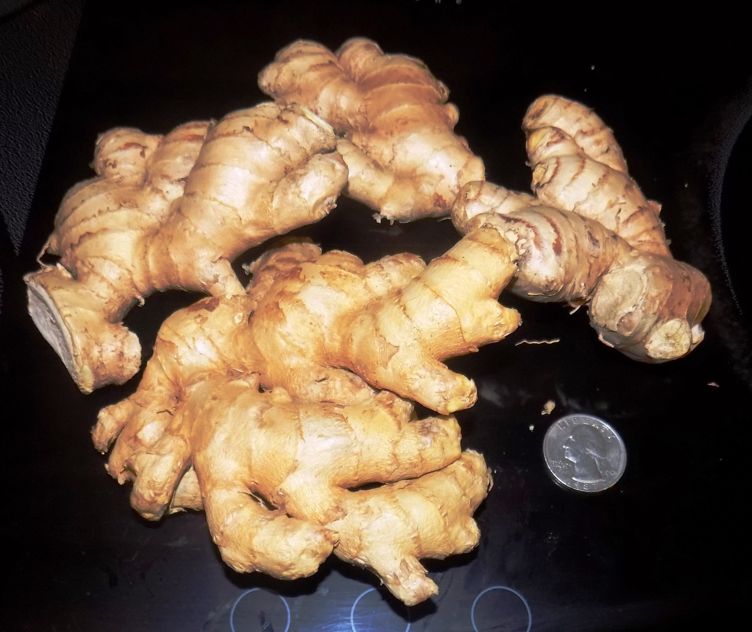 Premium Ginger Root