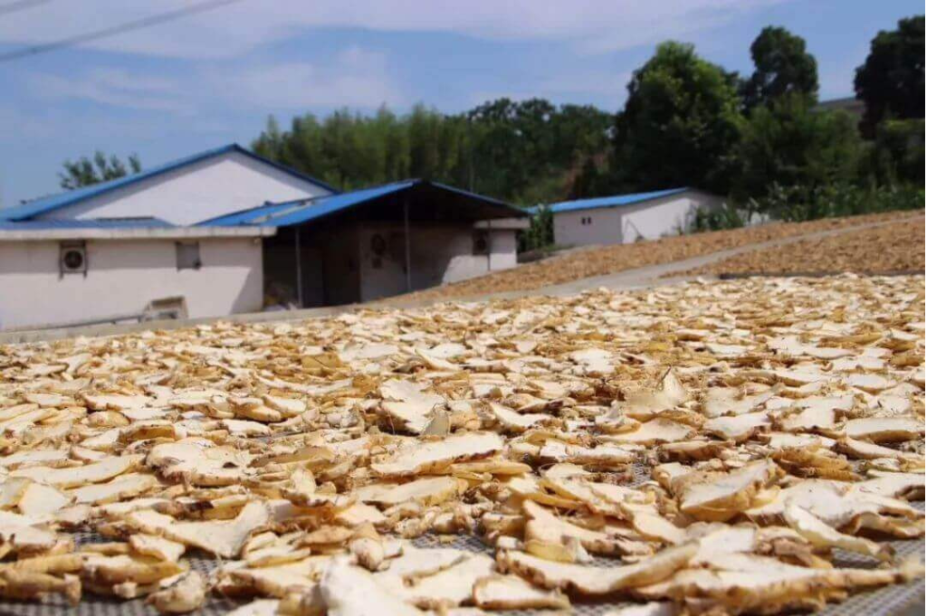 Natural Drying Process