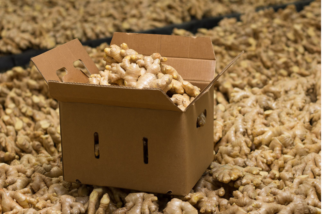 Secure Packaging for Export