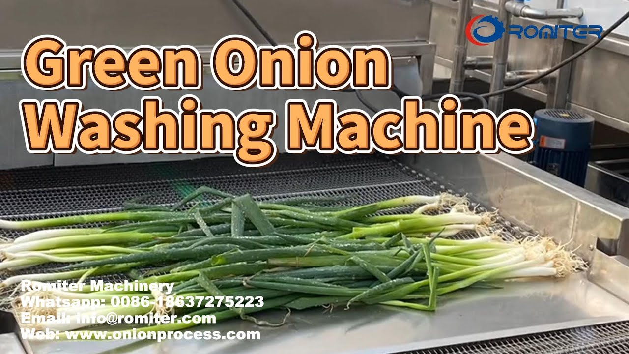 Green Onion Washing and Cleaning