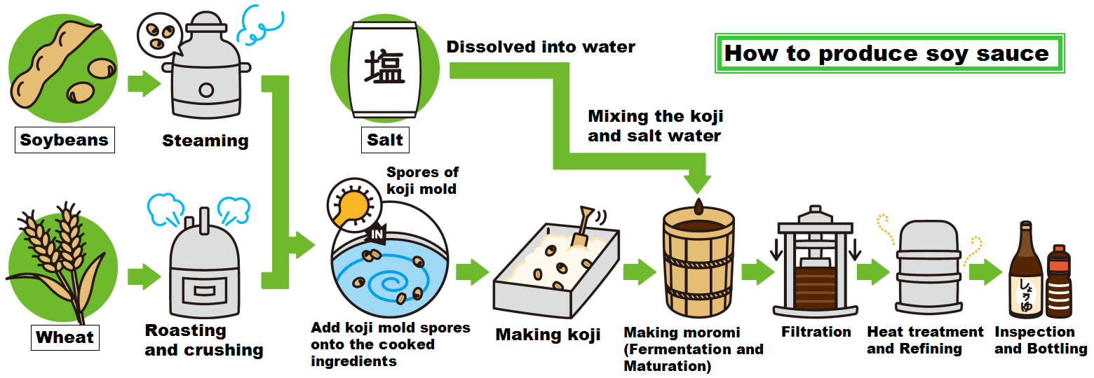 Koji Fermentation Process