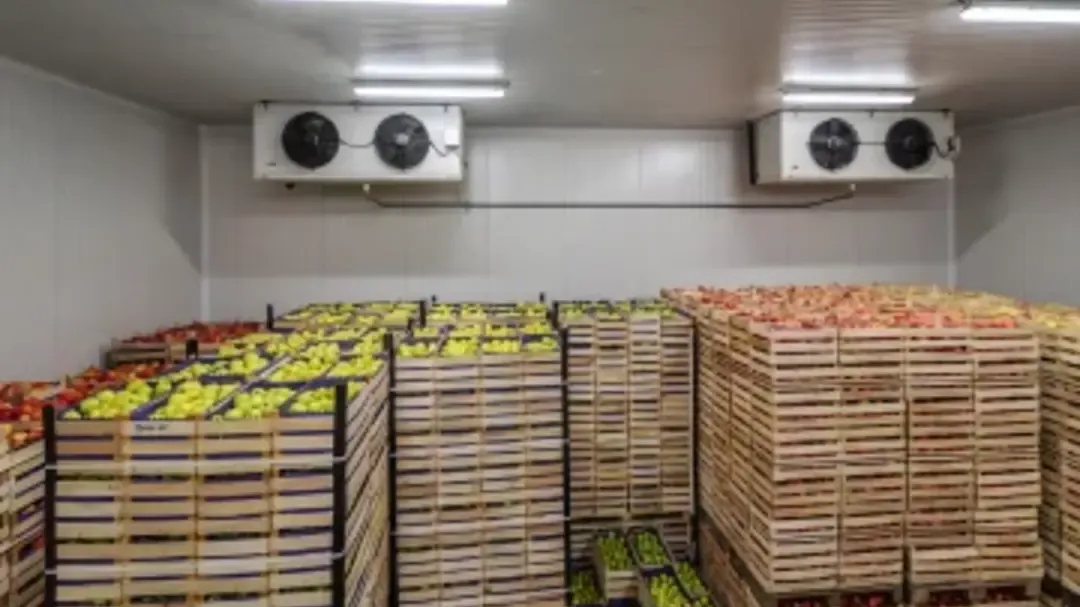 Cold Storage Facilities