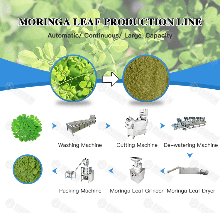 Moringa Powder Milling
