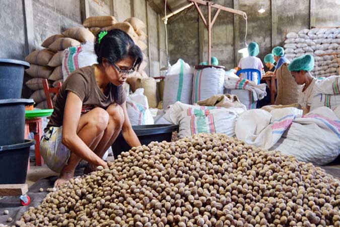 Nutmeg Processing
