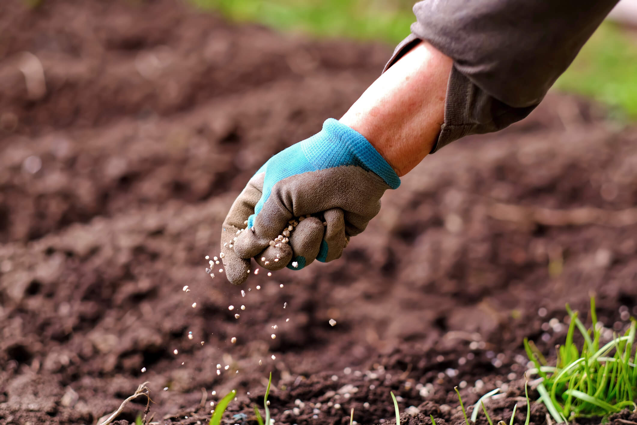 Organic Fertilizers