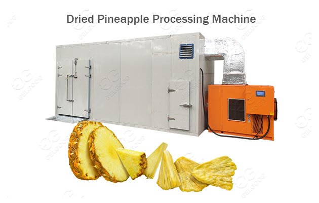 Dried Pineapple Drying Process