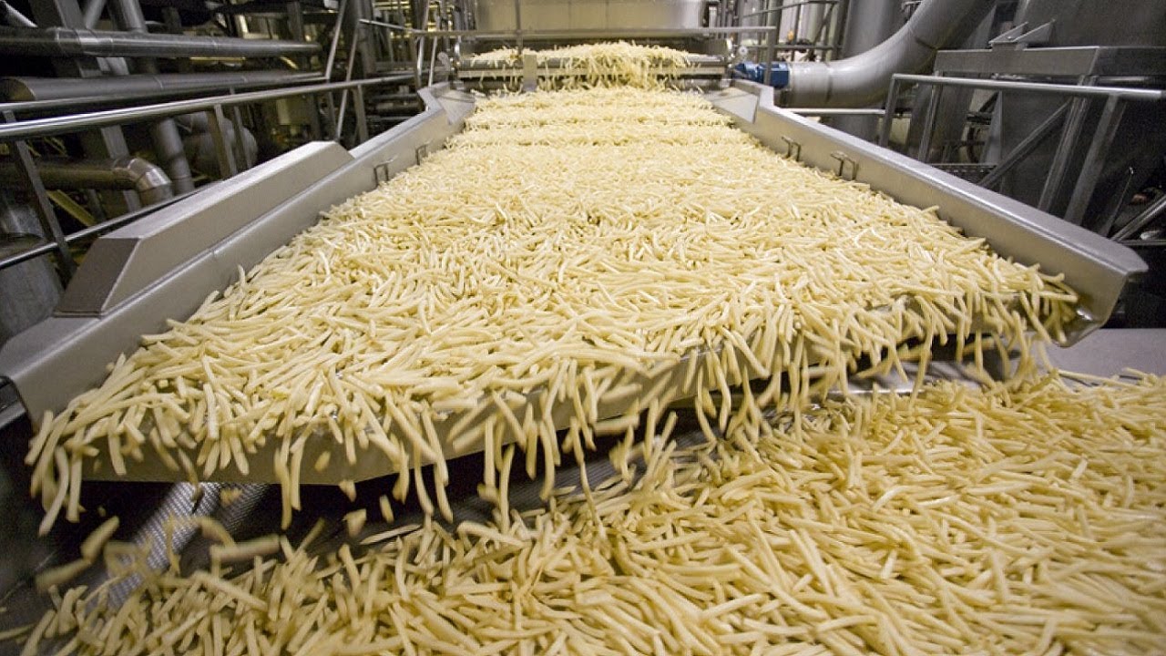 Potato Sorting