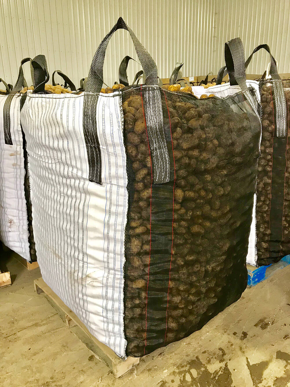 Potato Processing