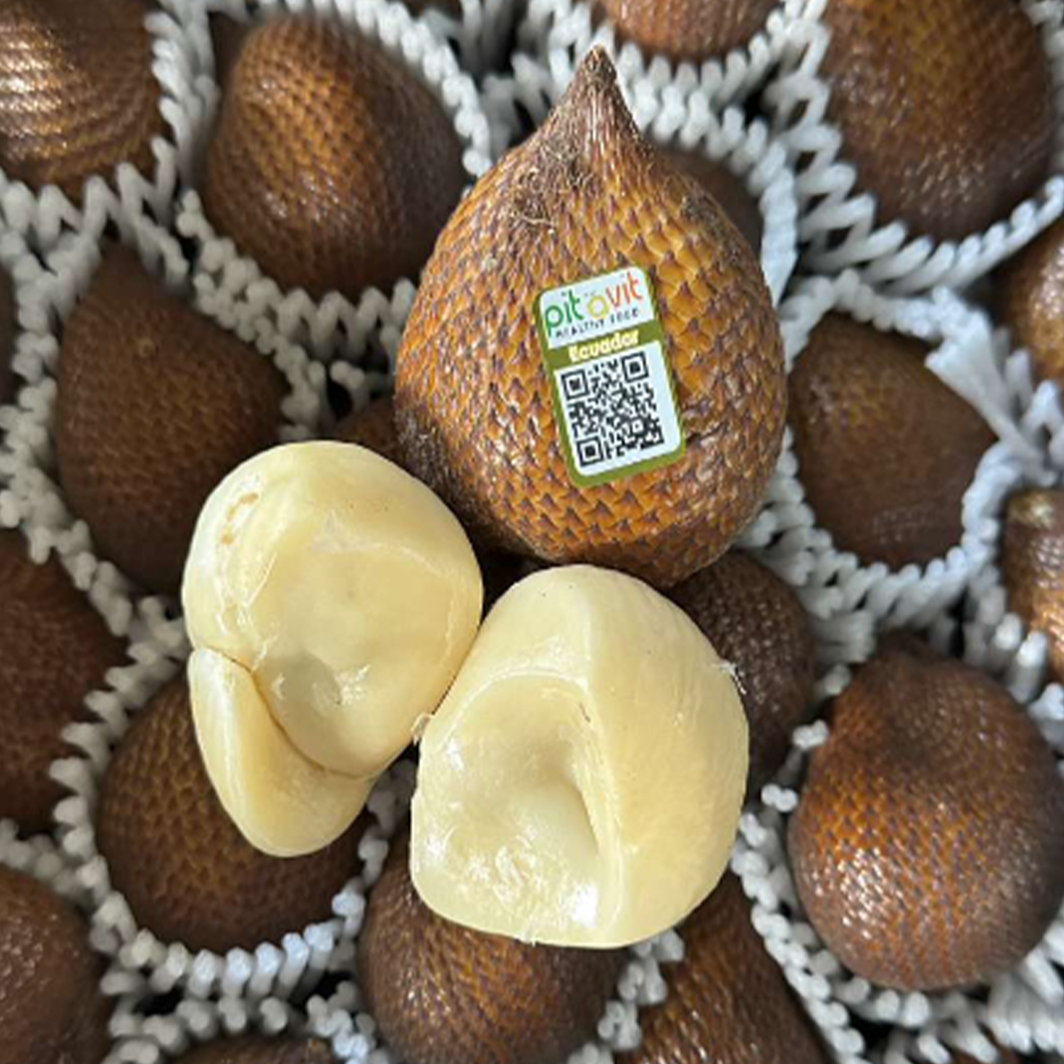 Processed Snake Fruit Products