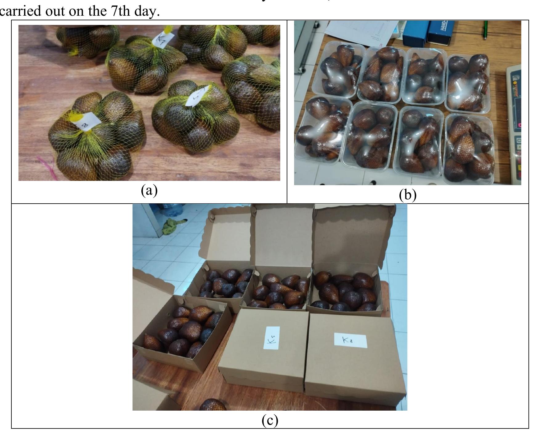 Snake Fruit Packaging