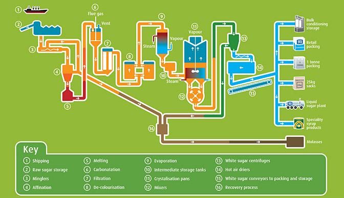 White Sugar Production
