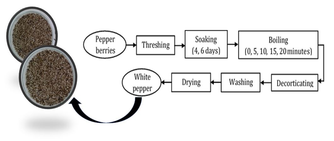 White Pepper Soaking