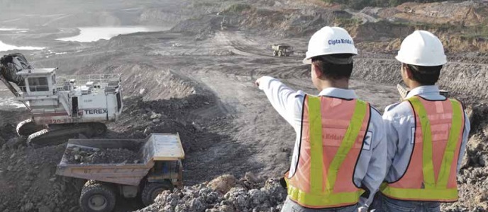 Coal Quality Inspection