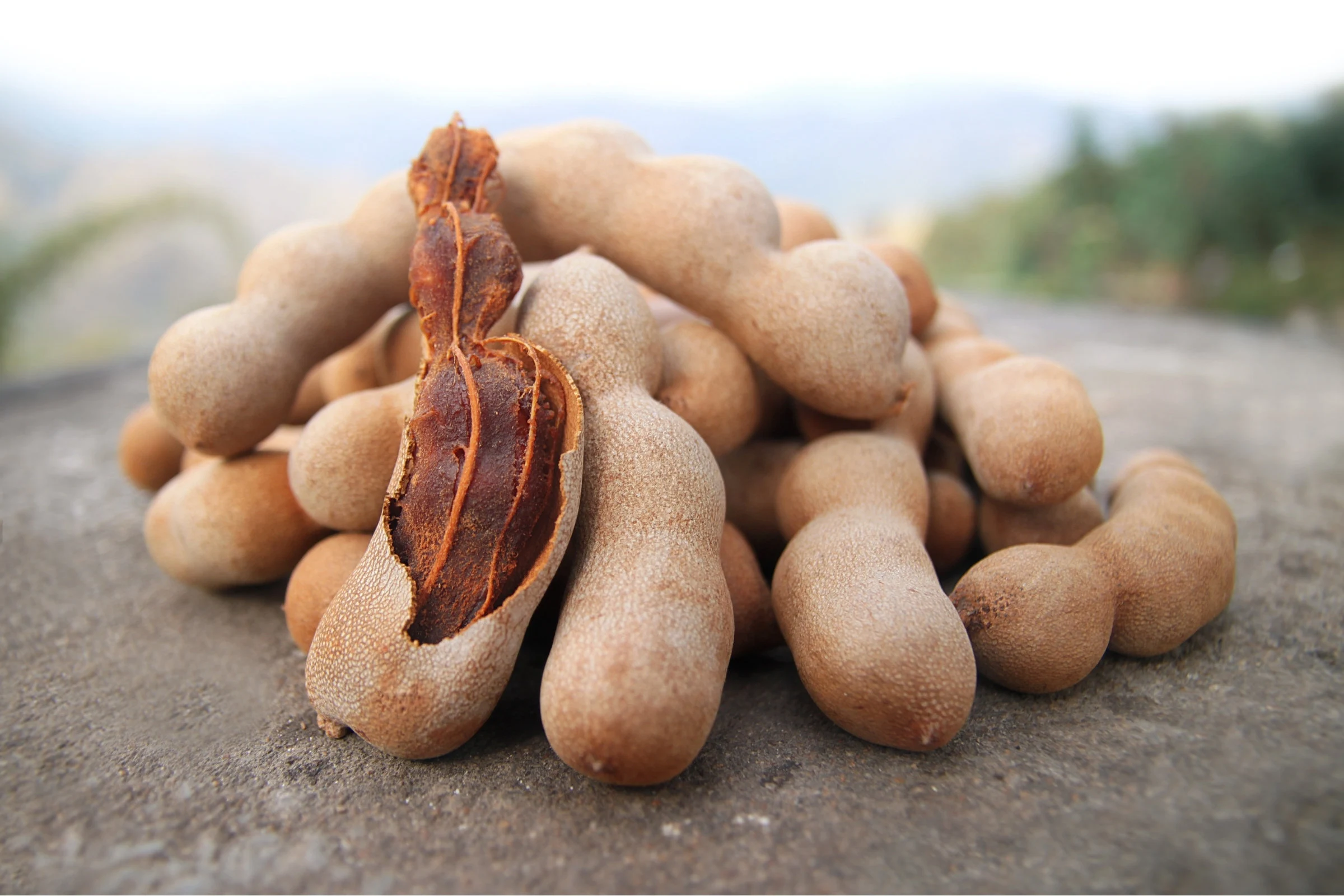 Whole Tamarind Pods